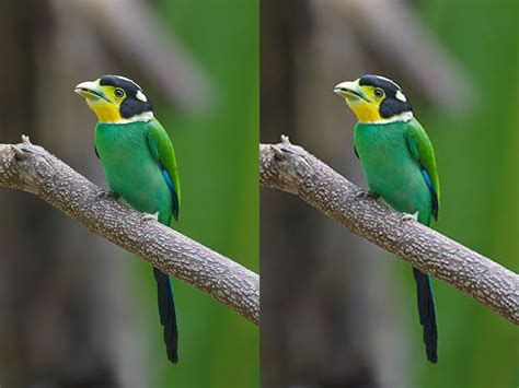 Select up to 20 jpg or jpeg images from you device. What is a JPEG file? | Digital communications team blog