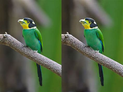 Good choice for lossy compression of still images (currently the most popular). ملف:JPEG compression Example.jpg - ويكيبيديا