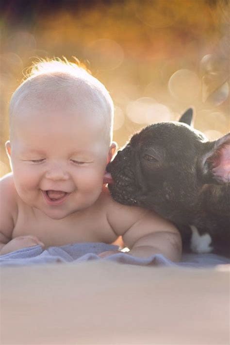 Find the best name for your new frenchie. Top 10 Things French Bulldogs Don't Like