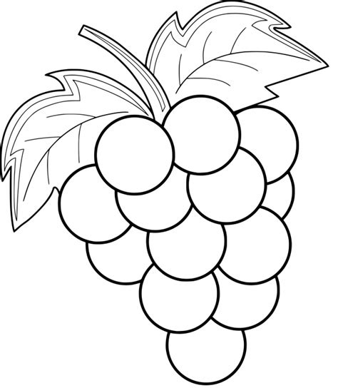 More images for easy grapes coloring page » Grape coloring page