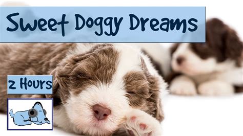 Most recent weekly top monthly top most viewed top rated longest shortest. 2.5 HOURS of Sweet Doggy Dreams Music. Send your Dog to ...