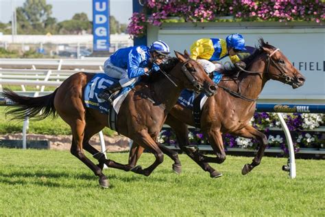 470 likes · 63 talking about this. Pride Of Dubai wins Blue Diamond Stakes