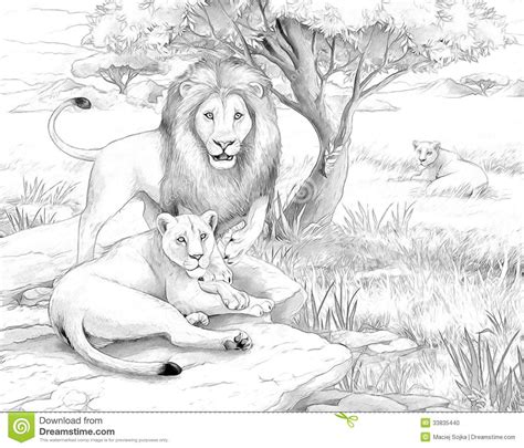 Between the lions is no longer available at pbskids.org between the lions teacher resources are available on pbs learningmedia. Safari - lions | Animal drawings sketches, Animal sketches ...