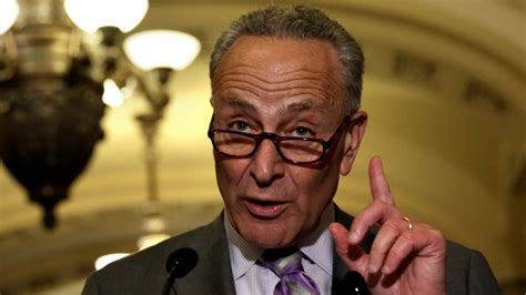 Will chuck schumer keep family separation alive? Ancestry.Com: 'Schumer' Name Means 'Good-For-Nothing ...