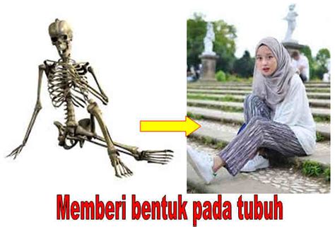 We did not find results for: Bagian dan Fungsi Tulang Badan Manusia - nyumplik.com