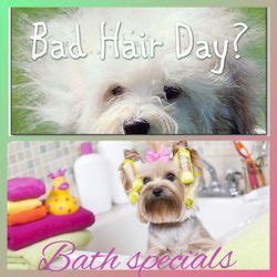 Pet grooming in san antonio, tx. Prissy Pooch Pet Grooming An Day Spa - Pet Groomers - 645 ...