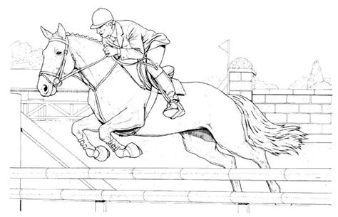 Rearing horse coloring page from horses category. horses_70 Adult coloring pages | Horse coloring, Horse ...