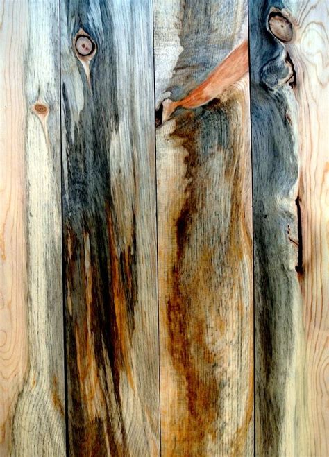 Sustainable Lumber Co. Beetle kill pine | Beetle kill pine ...