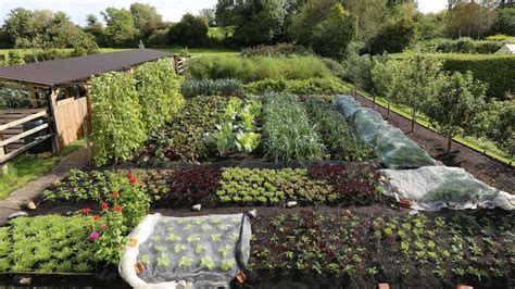 How deep to dig garden. No-Dig Gardening vs. Digging - Allotment Garden Diary