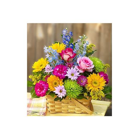 Check spelling or type a new query. 1-800-FLOWERS® SUNNY GARDEN BASKET™ | San Antonio, TX