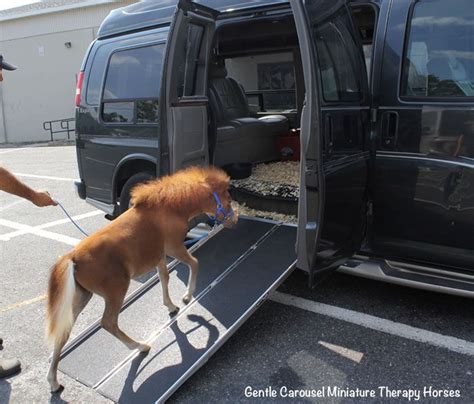 Explore tweets of discountramps @discountramps on twitter. DiscountRamps.com Donates Ramps to Gentle Carousel ...