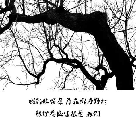 Maybe you would like to learn more about one of these? 當周董《煙花易冷》的歌詞遇上這些圖 - 每日頭條