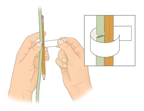 But that is so depressing. Taping And Splice Grafting Broken Plants: How To Reattach ...