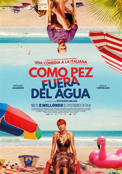 Subtítulos en inglés e italiano. Come Un Gatto In Tangenziale au Cinéma Voiron - PASSrL Les ...