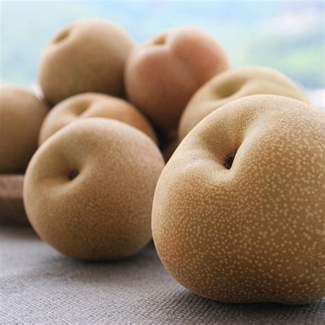 NASHI: GET TO KNOW THE PEARS THAT JAPANESE PEOPLE LOVE | Arigato Travel