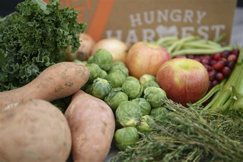 Hungry Harvest Continues to Fight Food Waste, Hunger by Expanding ...