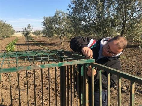 Inoltre, le marche di auto. Foggia, pantera avvistata a San Severo. «Si caccia con i ...