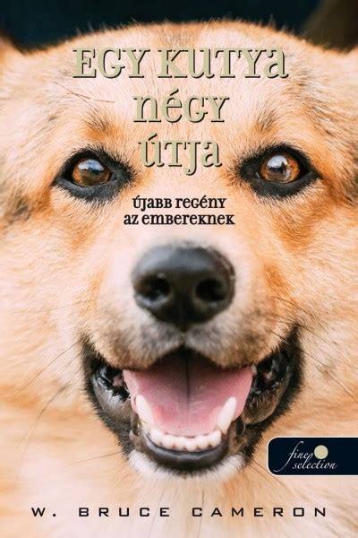 Lesz ingyenes élő film egy kutya négy útja streaegy kutya négy útjang hd egy kutya négy útjanőségű nélkül letölthető és felmérés. Egy Kutya Négy élete 2 Rész | Eladó Kiskutyák Budapesten