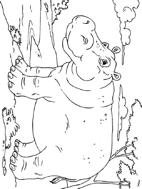 Free coloring sheets to print and download. Hippopotamus coloring pages. Download and print ...