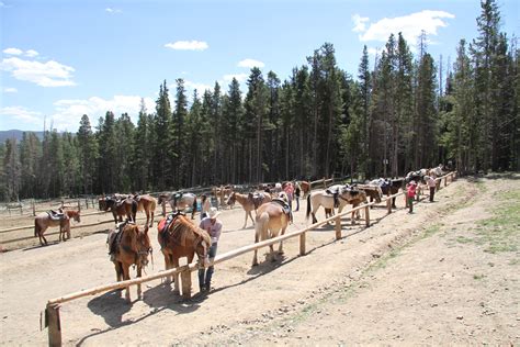 Informed rvers have rated 20 campgrounds near silverthorne, colorado. Horseback Riding in Breckenridge and Silverthorne Colorado