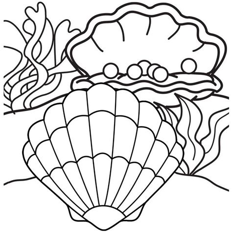 Coloring animals for kids animal book pages toddlers chipmunk clam shell colori. Pearl Oyster Coloring Page