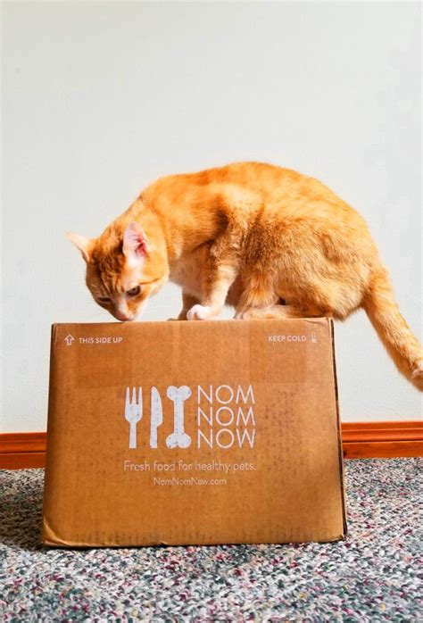 Fresh cat food recipes formulated by a veterinary nutritionist to provide your cat with healthy and delicious home cooked cat food, for more years together. Nom Nom Cat Food Review: We Tried Nom Now Fresh Cat Food