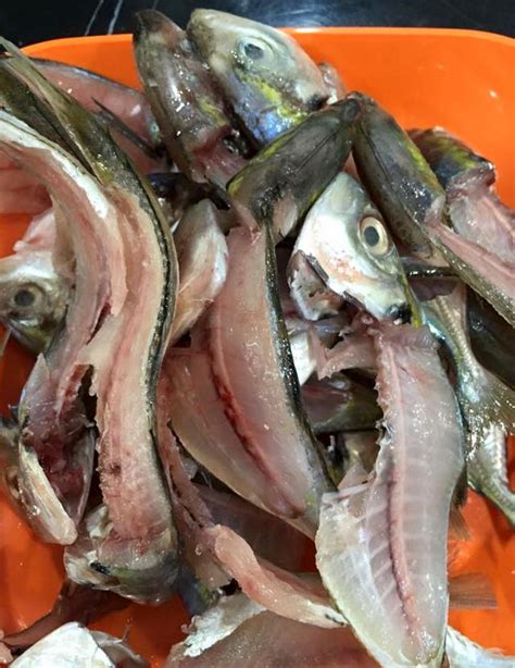 Time hujan ni mmg sesuailah makan sup tulang panas2!.alangkah sedapnyaaaa!! Mi Calong Tulang, Sup Jernih & Kepok IKan