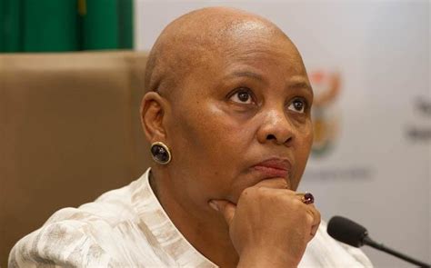 Security cluster was nearly caught with its pants down. South African defence minister's pay docked over use of ...