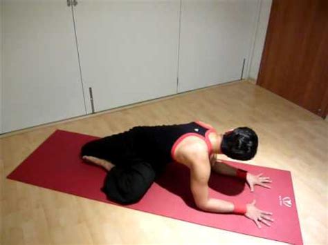 Maybe you would like to learn more about one of these? Basic to Advanced Yoga Asana Demonstration by Master ...