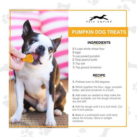Homemade dog food comes in two flavors; Top 3 Reasons to Start Feeding Your Dog Homecooked Meals # ...