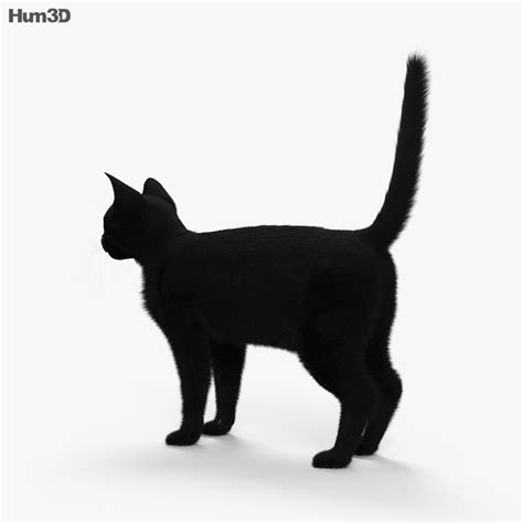View the profile and 3d models by black cat models (@blackcatmodels). Black Cat HD 3D model - Animals on Hum3D