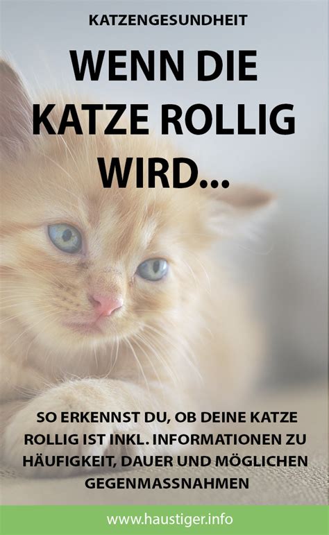 Ab wann katzen rollig werden, ist auch von der rasse abhängig: Katze rollig? Das musst du jetzt wissen | Rolligkeit Katze ...