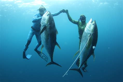 The florida fishing regulations book has a bait and tackle section for each fish. "10 Weapons You Won't Believe Are Legal!" - AR15.COM