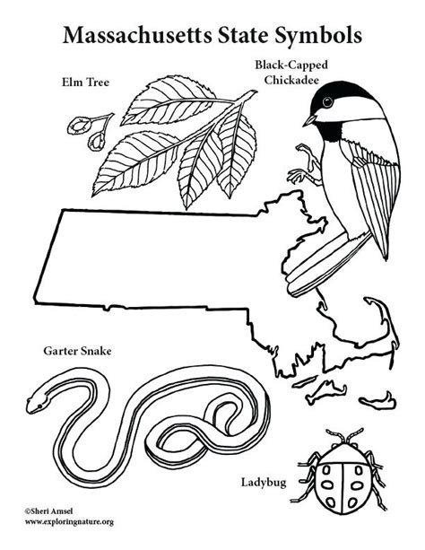 Louisiana secretary of state voter outreach division illustrated by: Louisiana Coloring Pages at GetColorings.com | Free ...