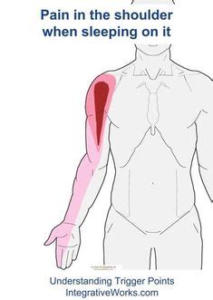 There are four thumb tendons: Shoulder Arm Structures | Anatomy | Radial nerve, Human spine, Neck, shoulder pain