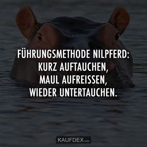 Jänner 2020 die amtierende bundesregierung der zweiten republik österreich. Führungsmethode Nilpferd: Kurz auftauchen Maul aufreissen Wieder untertauchen. #elevator in 2020 ...