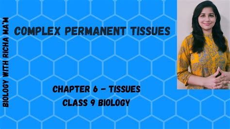 Maybe you would like to learn more about one of these? COMPLEX PERMANENT TISSUES ||XYLEM || PHLOEM || DIFFERENCES ...