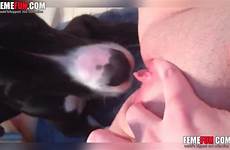 licking dog pussy femefun makes boyfriend xxx
