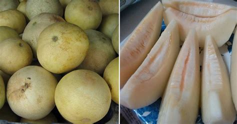 Sila ikuti perkembangan tanaman ini. 6 Tip Pilih Buah Tembikai Susu Yang Manis & Juicy, Tengok ...