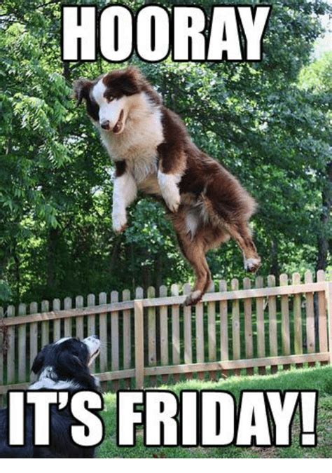 The idea of friday as a transition from the work week to the weekend is something that virtually everyone understands. 🔥 25+ Best Memes About Hooray Its Friday | Hooray Its Friday Memes