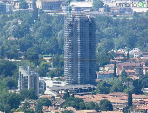 Terni, 17enne scompare per una delusione d'amore: Terni, Tulipano all'asta Nuova tappa a maggio | umbriaON