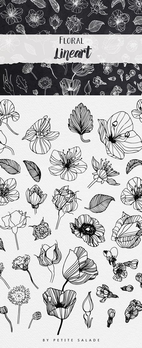 Eckzahnkopf lineart basis kostenlos png. Floral Lineart | Botanical drawings, Flower drawing ...