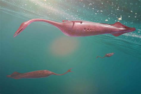 But the tully monster is extravagantly different from other lampreys, both living and extinct.living perhaps the tully monster did the same, but at a distance. What We Know About the Mysterious 'Tully Monster'