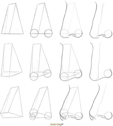 You can see that they form triangular shapes. 7 steps to draw noses from the 3/4 view | RapidFireArt