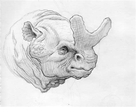 Mechanical pencils produce dark and sharp lines consistently that make your drawing neat and precise. SKETCH-BLOG: Megacerops with a Mechanical Pencil