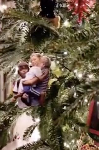 Complete your quiz offer with 100% accuracy and get credited. Kelly Ripa's Christmas Tree Is Covered With Photos of Her Family