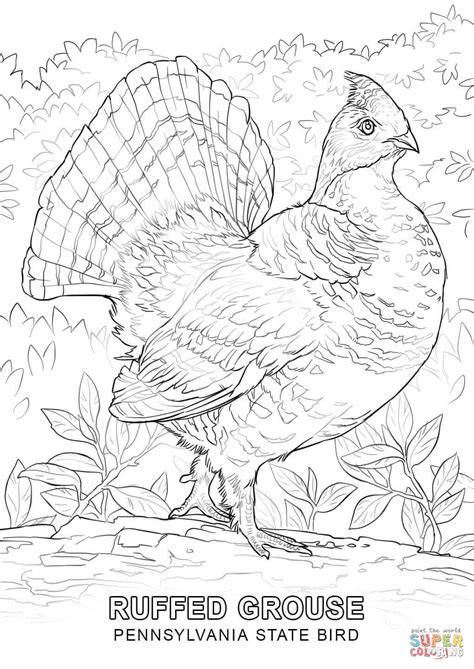 Select from 35915 printable crafts of cartoons, nature, animals, bible and many more. Pennsylvania State Bird coloring page | Free Printable ...