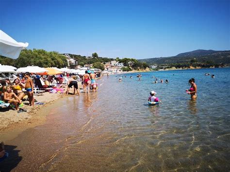 The original name of the village was taverna, a name taken from. Finikounda Beach: AGGIORNATO 2020 - tutto quello che c'è ...