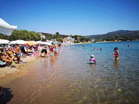 Finikounda is mostly famous for the golden sandy beaches which are every year awarded with the the town the town itself has been built amphitheatrically, right at the point where the beach ends. Finikounda Beach: AGGIORNATO 2020 - tutto quello che c'è ...