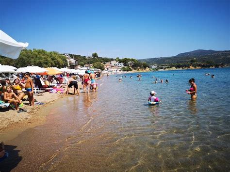 1016 ferienwohnungen und ferienhäuser in griechenland ⛱ traumstrände ★ kreta ★ naxos ★ samos ⛬ antike sehenswürdigkeiten | jetzt ferienhaus in griechenland mieten! Finikounda Beach: AGGIORNATO 2020 - tutto quello che c'è ...